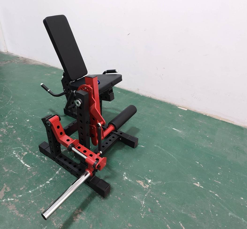 Duale Beinbeuger Leg Curl/ Leg Extension
